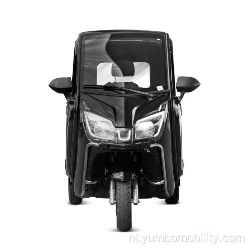 YBZL1 Hot Selling Three Wheel Electric Car